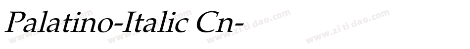 Palatino-Italic Cn字体转换